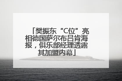 樊振东“C位”亮相德国萨尔布吕肯海报，俱乐部经理透露其加盟内幕