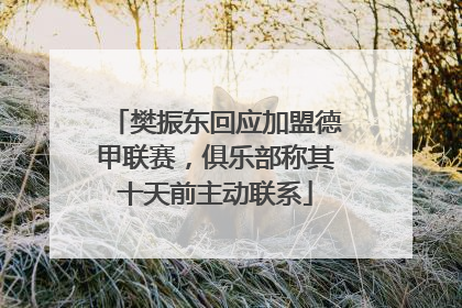 樊振东回应加盟德甲联赛，俱乐部称其十天前主动联系