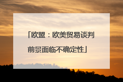 欧盟：欧美贸易谈判前景面临不确定性