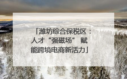 潍坊综合保税区：人才“强磁场” 赋能跨境电商新活力