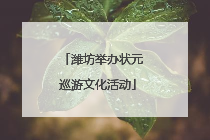 潍坊举办状元巡游文化活动