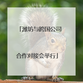 潍坊与跨国公司合作对接会举行