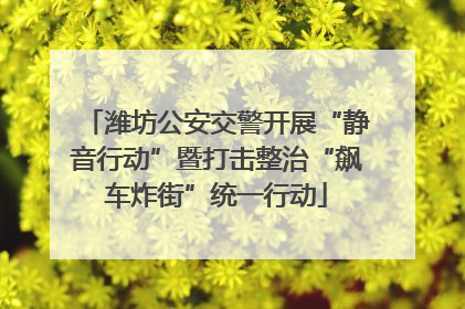 潍坊公安交警开展“静音行动”暨打击整治“飙车炸街”统一行动