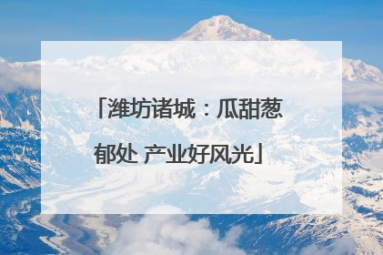 潍坊诸城：瓜甜葱郁处 产业好风光