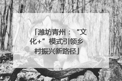潍坊青州：“文化+”模式引领乡村振兴新路径