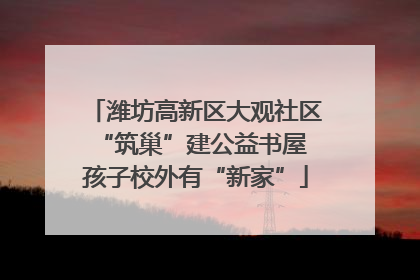 潍坊高新区大观社区“筑巢”建公益书屋 孩子校外有“新家”