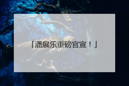 潘展乐重磅官宣！