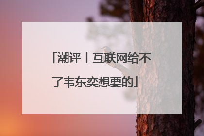 潮评丨互联网给不了韦东奕想要的