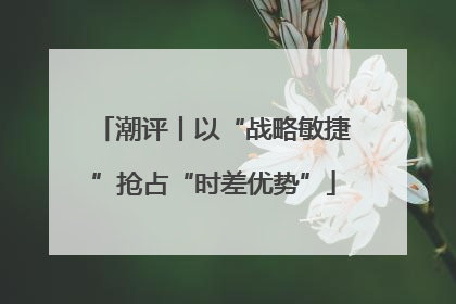 潮评丨以“战略敏捷”抢占“时差优势”