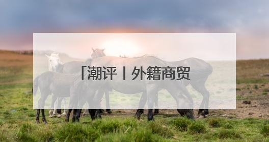 潮评丨外籍商贸人士可评人才，展现了“大人才观”的开放胸襟