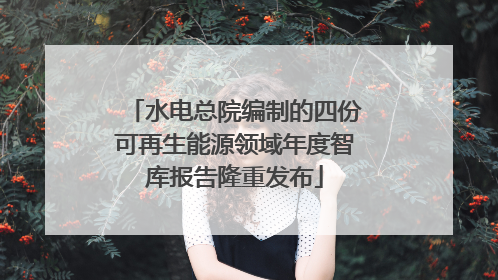 水电总院编制的四份可再生能源领域年度智库报告隆重发布