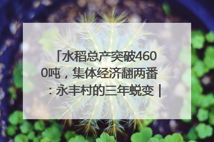 水稻总产突破4600吨，集体经济翻两番：永丰村的三年蜕变｜您牵挂的四川