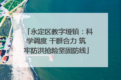 永定区教字垭镇：科学调度 干群合力 筑牢防洪抢险坚固防线