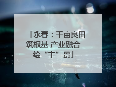 永春：千亩良田筑根基 产业融合绘“丰”景