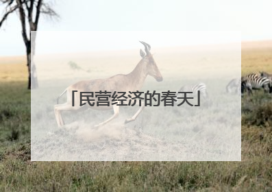 民营经济的春天