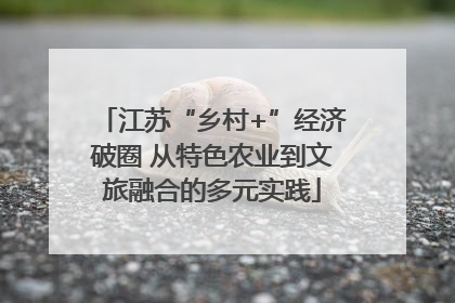 江苏“乡村+”经济破圈 从特色农业到文旅融合的多元实践