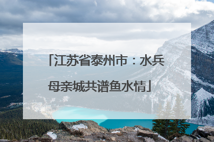江苏省泰州市：水兵母亲城共谱鱼水情