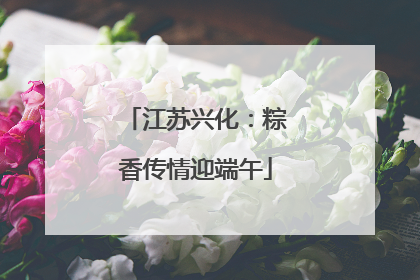 江苏兴化：粽香传情迎端午