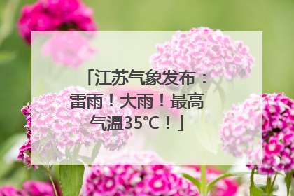 江苏气象发布：雷雨！大雨！最高气温35℃！