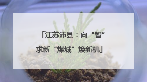 江苏沛县：向“智”求新“煤城”焕新机