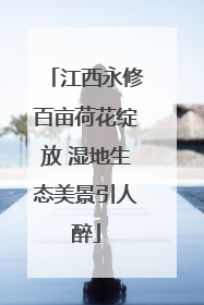 江西永修百亩荷花绽放 湿地生态美景引人醉