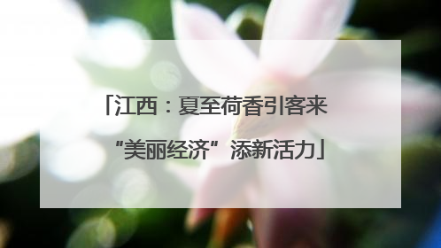 江西：夏至荷香引客来 “美丽经济”添新活力