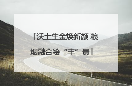 沃土生金焕新颜 粮烟融合绘“丰”景