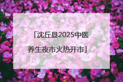 沈丘县2025中医养生夜市火热开市
