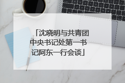 沈晓明与共青团中央书记处第一书记阿东一行会谈