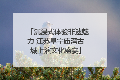 沉浸式体验非遗魅力 江苏阜宁庙湾古城上演文化盛宴