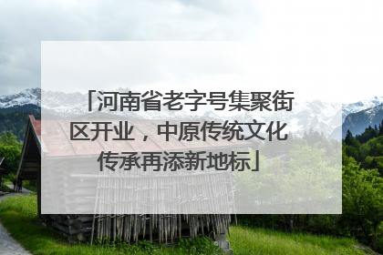 河南省老字号集聚街区开业，中原传统文化传承再添新地标