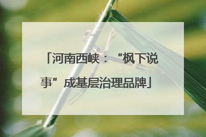 河南西峡：“枫下说事”成基层治理品牌
