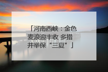 河南西峡：金色麦浪迎丰收 多措并举保“三夏”