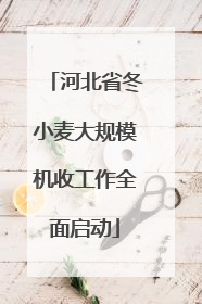 河北省冬小麦大规模机收工作全面启动