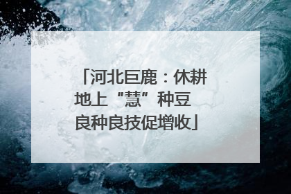 河北巨鹿：休耕地上“慧”种豆 良种良技促增收