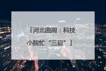 河北曲周：科技小院忙“三夏”