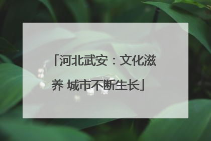 河北武安：文化滋养 城市不断生长