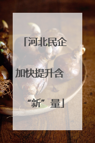 河北民企加快提升含“新”量