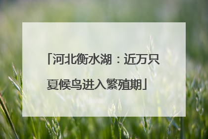 河北衡水湖：近万只夏候鸟进入繁殖期
