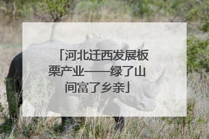 河北迁西发展板栗产业——绿了山间富了乡亲