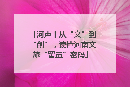 河声丨从“文”到“创”，读懂河南文旅“留量”密码