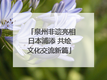 泉州非遗亮相日本浦添 共绘文化交流新篇