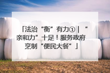法治“衡”有力①｜“亲和力”十足！服务政府烹制“便民大餐”