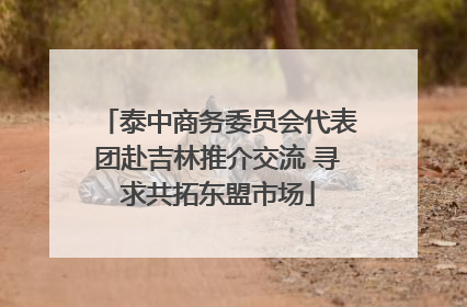 泰中商务委员会代表团赴吉林推介交流 寻求共拓东盟市场