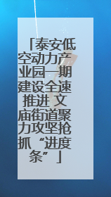 泰安低空动力产业园一期建设全速推进 文庙街道聚力攻坚抢抓“进度条”