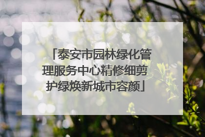 泰安市园林绿化管理服务中心精修细剪护绿焕新城市容颜