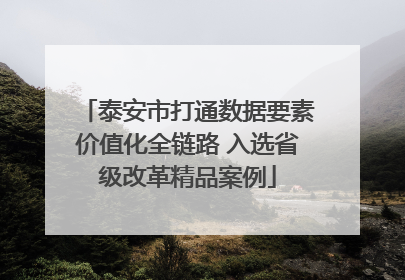 泰安市打通数据要素价值化全链路 入选省级改革精品案例