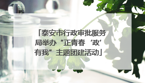 泰安市行政审批服务局举办“正青春‘政’有我”主题团建活动