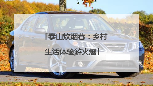 泰山炊烟巷：乡村生活体验游火爆