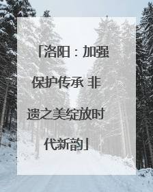 洛阳：加强保护传承 非遗之美绽放时代新韵